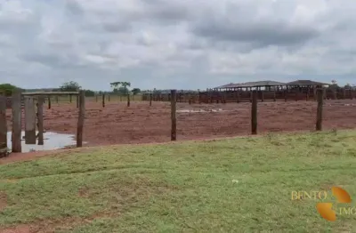 Fazenda à venda, 98736000 m² por r$ 245.000.000,00 - zona rural - marabá/pa