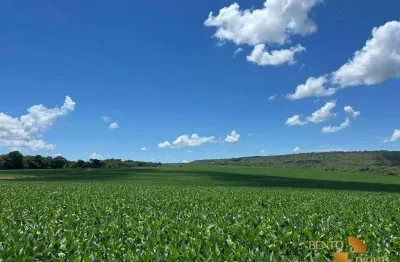 Fazenda à venda, 17340000 m² por r$ 42.000.000 - zona rural - tesouro/mt
