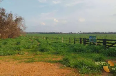 Fazenda à venda, 8460000 m² por r$ 23.000.000 - zona rural - nova mutum/mt