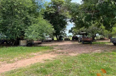 Fazenda à venda, 10070000 m² por r$ 13.000.000 - zona rural - tangará da serra/mt