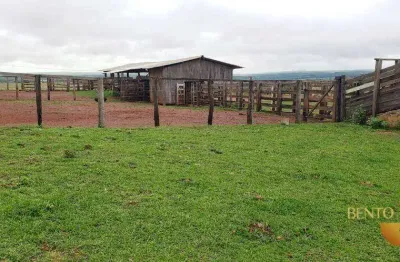 Fazenda à venda, 11900000 m² por r$ 33.000.000,00 - zona rural - itiquira/mt