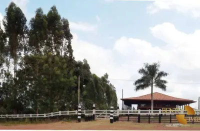 Fazenda à venda, 116000000 m² por r$ 280.000.000 - nova tucuruí - tucuruí/pa