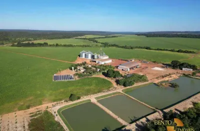 Fazenda à venda, 84300000 m² por r$ 402.500.000 - zona rural - matupá/mt
