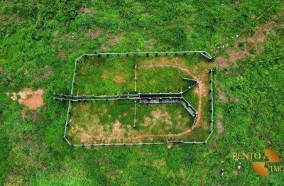 Fazenda à venda, 10240000 m² por r$ 17.000.000 - loteamento cidade nova - nova mutum/mt