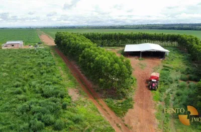 Fazenda com 3 dormitórios à venda, 7400000 m² por r$ 63.250.000 - zona rural - matupá/mt