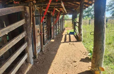 Fazenda à venda, 99300000 m² por r$ 55.000.000 - zona rural - cocalinho/mt