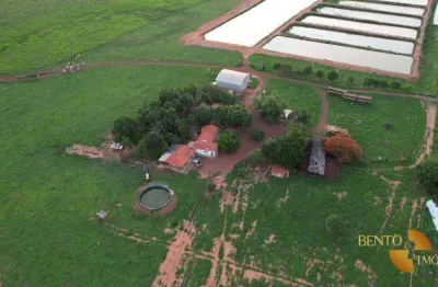 Fazenda com 8 dormitórios à venda, 1000000 m² por r$ 7.000.000 - zona rural - jaciara/mt