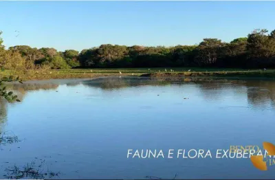 Fazenda com 3 dormitórios à venda, 75300000 m² por r$ 72.000.000,00 - zona rural - cocalinho/mt