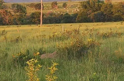 Fazenda à venda, 2400000 m² por r$ 6.000.000 - zona rural - juscimeira/mt