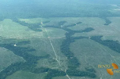 Fazenda à venda, 150000000 m² por r$ 125.000.000 - zona rural - nova bandeirantes/mt