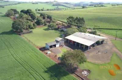Fazenda à venda, 49260000 m² por r$ 210.000.000 - zona rural - goiânia/go