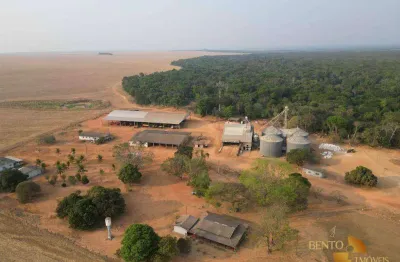 Fazenda à venda, 50000000 m² por r$ 250.000.000 - zona rural - nova maringá/mt