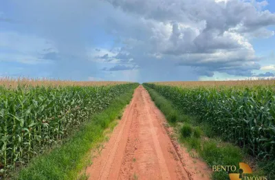 Fazenda à venda, 36010000 m² por r$ 227.700.000 - zona rural - ipiranga do norte/mt
