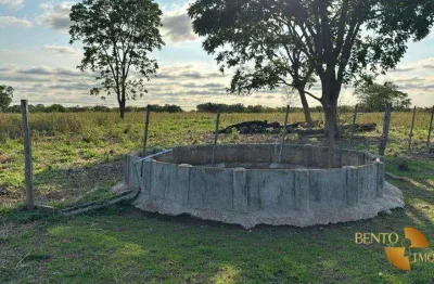 Fazenda à venda, 1770000 m² por r$ 5.000.000,00 - zona rural - nossa senhora do livramento/mt