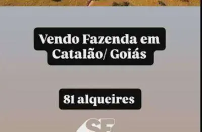 Fazenda à venda, 3931000 m² por r$ 20.250.000 - zona rural - catalão/go