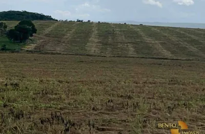 Fazenda à venda, 10164000 m² por r$ 65.000.000 - zona rural - ipameri/go