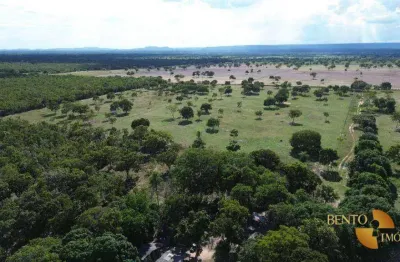 Fazenda à venda, 2020000 m² por r$ 2.450.000,00 - zona rural - nossa senhora do livramento/mt