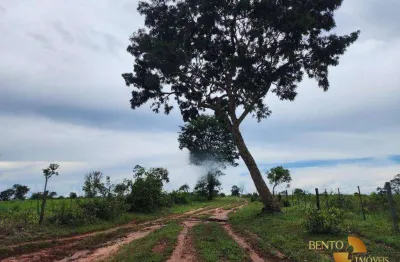 Fazenda à venda, 15100000 m² por r$ 19.000.000 - zona rural - tesouro/mt