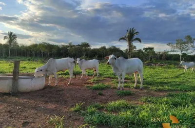 Fazenda à venda, 1270000 m² por r$ 2.990.000 - zona rural - acorizal/mt