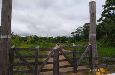 Fazenda à venda, 10000000 m² por r$ 10.000.000 - zona rural - porto velho/ro