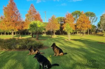 Chácara com 5 dormitórios à venda, 40000 m² por r$ 2.800.000,00 - boituville - boituva/sp