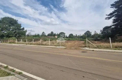 Terreno à venda na Rua Miguel Macuim, 753, Jardim das Acácias, Quatro Barras