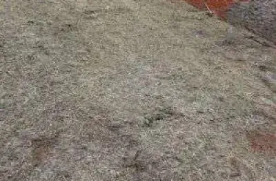 Terreno à venda na Rua Guanabara, 1, Jardim Imá, Campo Grande