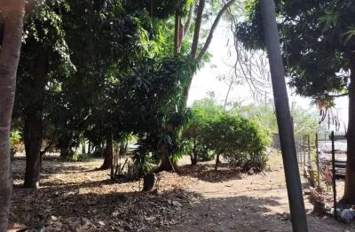 Vendo terreno comercial plano, limpo e murado, com 16,00 metros de frente para avenida das torres,