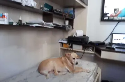 Apartamento no Condomínio São Geraldo na Barra Funda com 105m² 1 suíte 3 banheiros 2 vagas