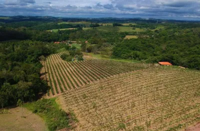Chácara / sítio à venda no horto florestal, jundiaí  por r$ 13.990.000