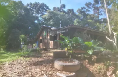 Chácara à venda, 100.00 m2 por r$490000.00  - centro - quitandinha/pr