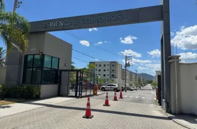 Vendo excelente apartamento, condominio cedro rosa  em campo grande.