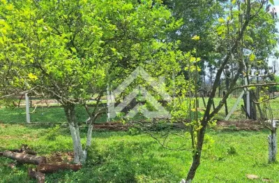 Chácara / sítio com 2 quartos à venda no Ferraz, Rio Claro 