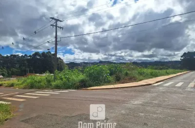 Terreno à venda no Cará-cará, Ponta Grossa 
