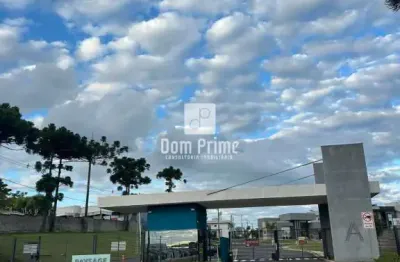Terreno comercial para alugar no Piriquitos, Ponta Grossa 
