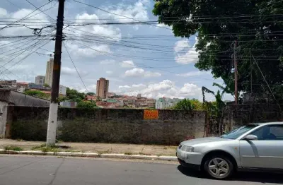 Terreno à venda no bairro da chácara inglesa com fundos para a rua camarõe