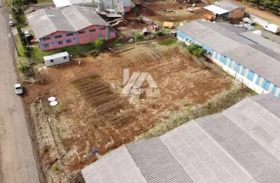 Terreno à venda, 2500 m² por r$ 1.300.000,00 - primavera - guarapuava/pr