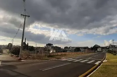 Terreno à venda, 1210 m² por r$ 1.750.000,00 - uvaranas - ponta grossa/pr