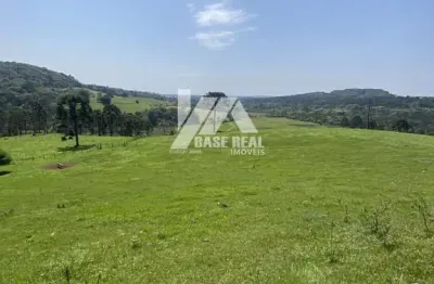 Oportunidade única! fazenda de 119,77 ha em 

guarapuava/pr