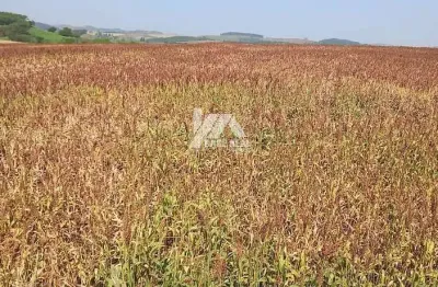 Chácara / sítio à venda na Rural, Zona Rural, Marumbi