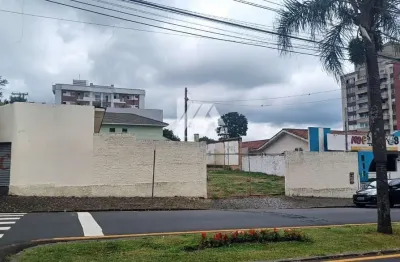 Terreno à venda na Avenida Doutor Francisco Burzio, Centro, Ponta Grossa
