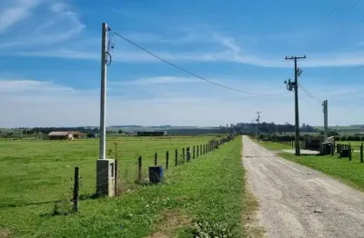 Chácara para venda em balsa nova, são luiz do purunã