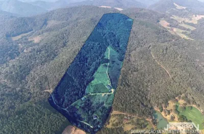 Chácara para venda em campo largo, retiro grande, 4 dormitórios, 1 banheiro