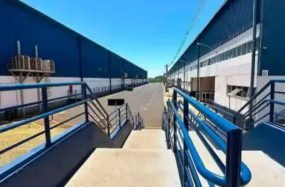 Galpão / barracão para locação em ribeirão preto, jardim salgado filho