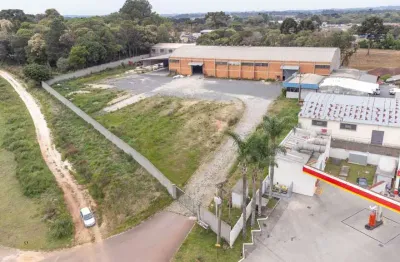 Barracão / Galpão / Depósito para alugar na Rodovia BR-277 Curitiba Ponta Grossa, KM 115, Rondinha, Campo Largo