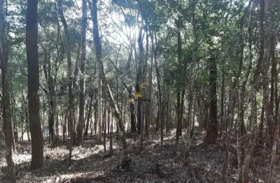 Terreno à venda na Alameda da Liberdade, Arvoredo, Nova Lima