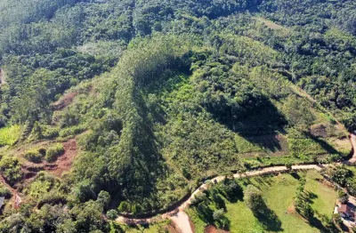Terreno de sítio com 10 hectares em canelinha-sc com ótima localização