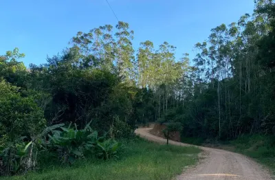 Terreno rural com 10 hectares em canelinha-sc com plantação de eucaliptos