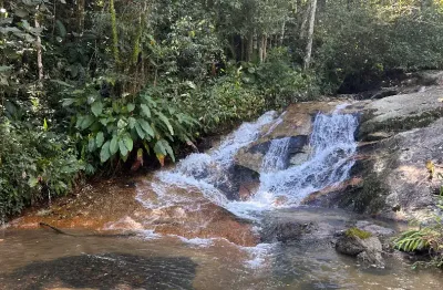 Chácara / sítio com 3 quartos à venda na Avenida Cantório F. da Silva, Moura, Canelinha