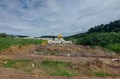 Terreno à venda no Cascavel Velho, Cascavel 